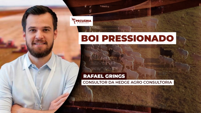 Semana de pressão intensa sobre arroba do boi. E agora?