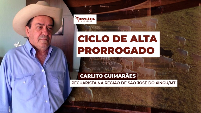 Pecuária brasileira deve ter ciclo de alta prorrogado depois do intenso volume de fêmeas abatidas, alerta pecuarista.