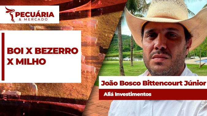 Relação de troca boi X bezerro é a pior dos últimos 11 anos com recente queda da arroba