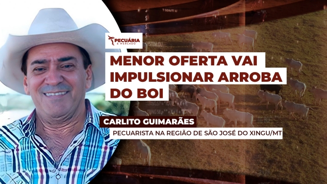 Pecuarista alerta para falta de animais prontos para abate com pastagem comprometida e maior retenção de fêmeas