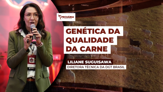 Ultrassonografia ajuda identificar animais com boa genética para carne de qualidade