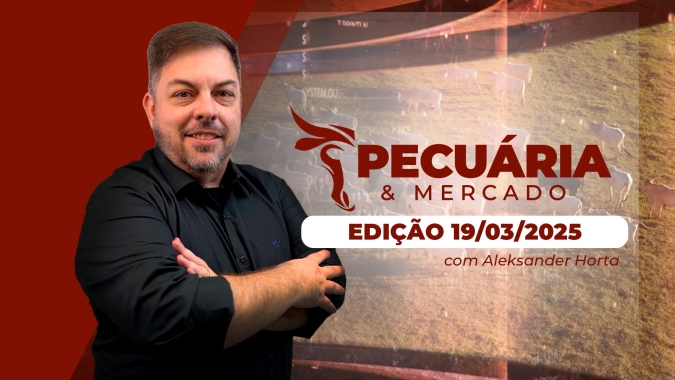 Arroba do boi com tendência limitada de elevação no curto prazo; perspectiva de alta fica para o segundo semestre e requer planejamento