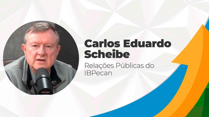 Pecanicultura aposta em início das exportações e variação de produtos para seguir crescendo no Brasil