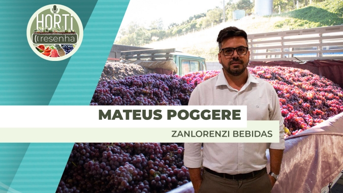 HORTI RESENHA #92 - Safra de Uvas 2025 promete ser histórica no Rio Grande do Sul