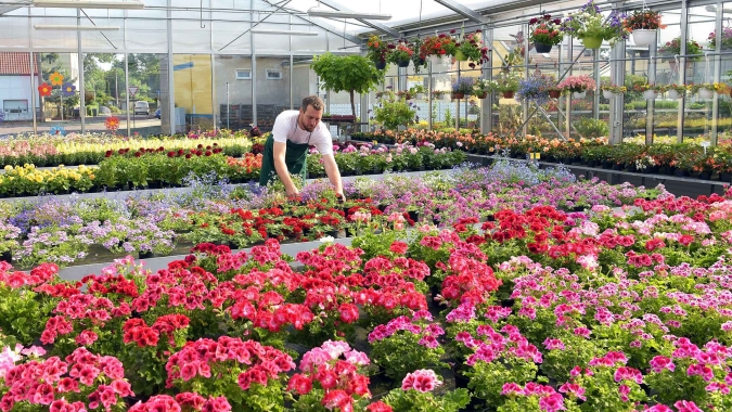 Floricultura cresce e movimenta R$ 21 bi no Brasil somente em 2024