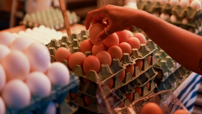 Preço dos ovos sobe até 37% em fevereiro e melhora poder de compra do produtor