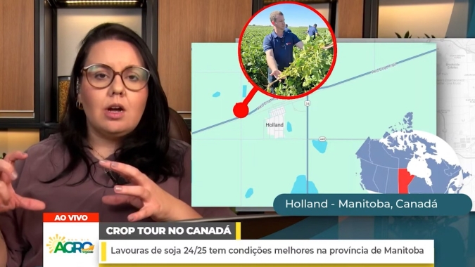 Canadá: Lavouras de soja 24/25 tem condições melhores na província de Manitoba