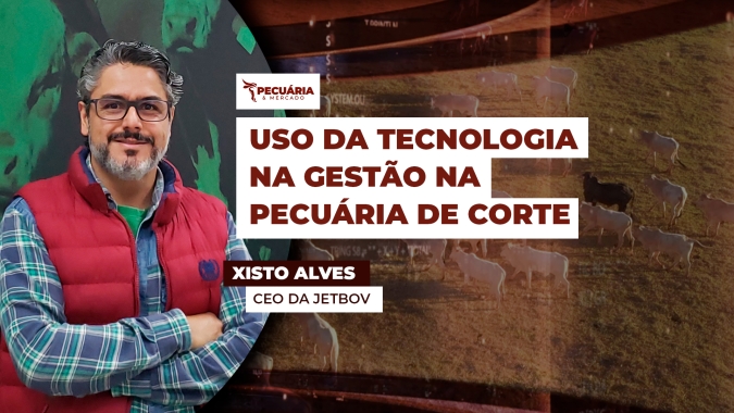 Software de gestão auxilia na tomada de decisões assertivas e permite mudança nas ações para evitar prejuízos