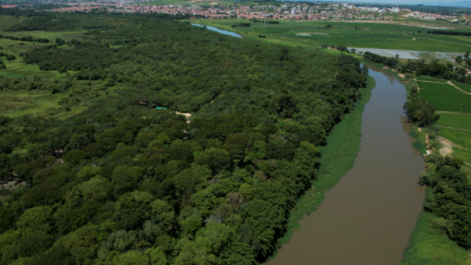 Senado aprova MP que prorroga prazo de regularização ambiental e tira mudança na lei da Mata Atlântica