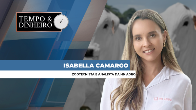 Boi gordo e gripe aviária. Quais impactos nos preços? Isabella Camargo, comenta