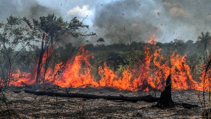 Calor extremo e seca no Tocantins levam produtores a colher milho durante a noite para evitar incêndios