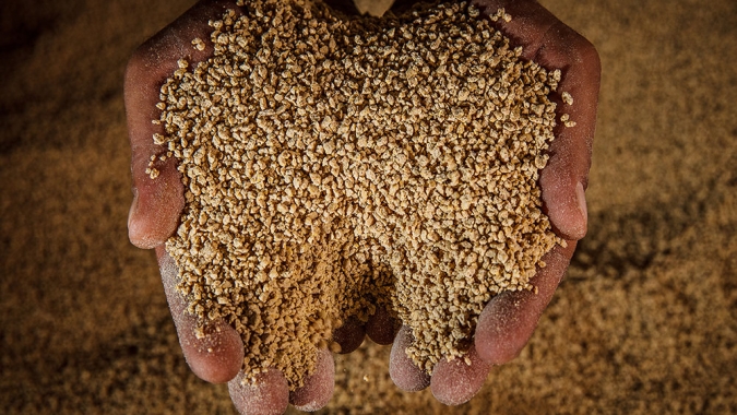 Mapa inicia tomada pública de subsídios sobre controle de dioxinas em produtos usados na ração animal