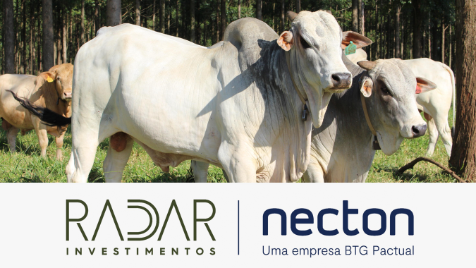 Radar Investimentos: O contrato mais líquido, que vence em outubro, perdeu R$ 3,30 na semana, para R$ 319,95