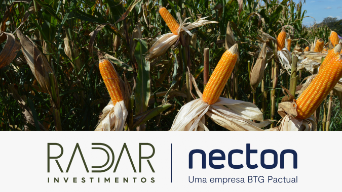Radar Investimentos: milho brasileiro deve seguir em dois tempos nos próximos dias