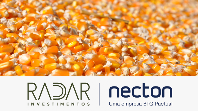 Radar Investimentos: Contrato do milho com vencimento em janeiro fechou em queda de R$ 0,42/saca