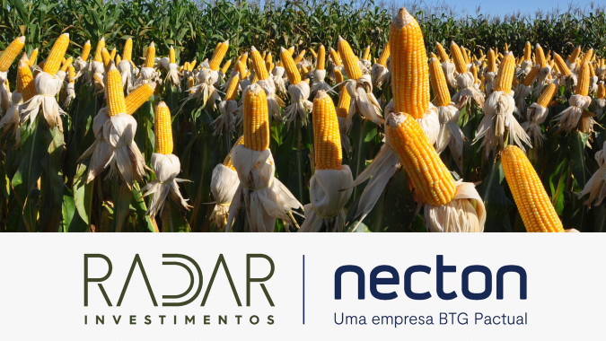 Radar Investimentos: comercialização do milho brasileiro deve enfrentar um cenário de oferta abundante