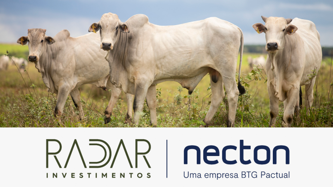Radar Investimentos: menor consumo de carne bovina no fim do mês reduz o apetite nas compras de boiadas prontas