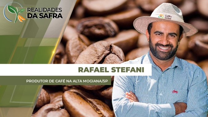 Chuva na colheita do café derruba frutos e pode afetar na qualidade