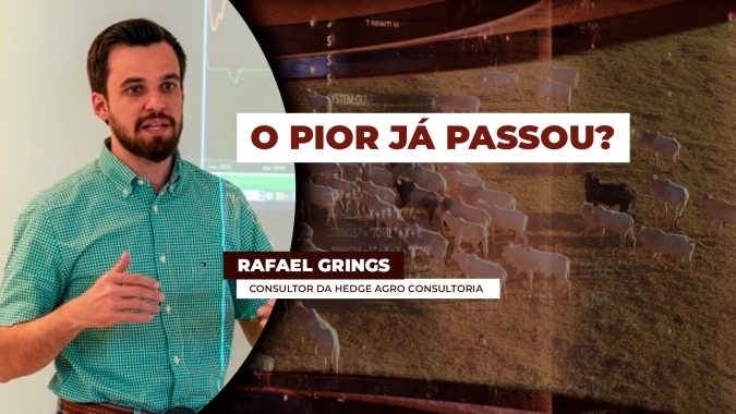 Virada no mercado? Arroba encontra sustentação após semanas de pressão