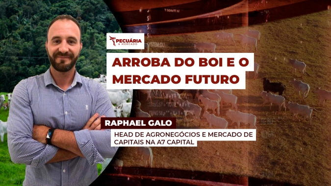 Mercado futuro já projeta um novo patamar para arroba do boi. Proteger ou esperar?