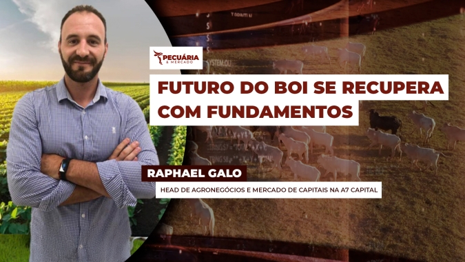 Semana começa com perspectivas positivas para o boi gordo diante da recente reação do mercado com alta da arroba e da carne