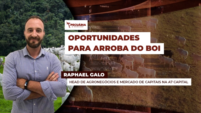 Mercado Futuro traz oportunidades de negócios com o boi e pecuaristas precisam identificar esses momentos