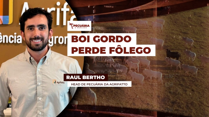 Semana começa com expectativa de novas baixas na arroba com mercado físico se ajustando à B3 e escalas alongadas