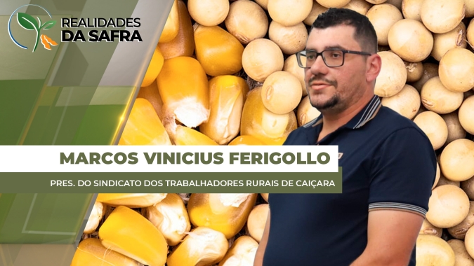 Caiçara/RS já tem áreas de soja com perdas de 50% na produtividade