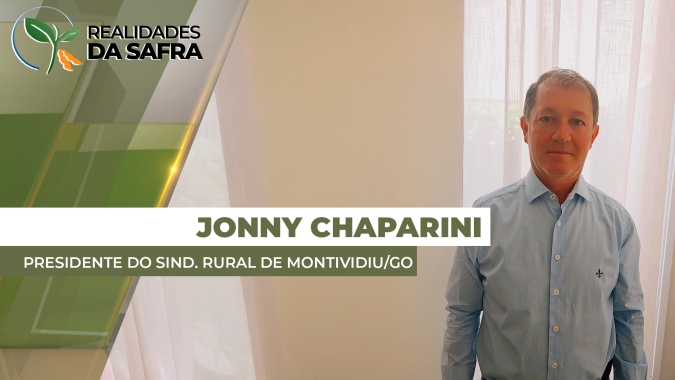 Safrinha de milho vai apresentando produtividades acima da média em Montividiu/GO