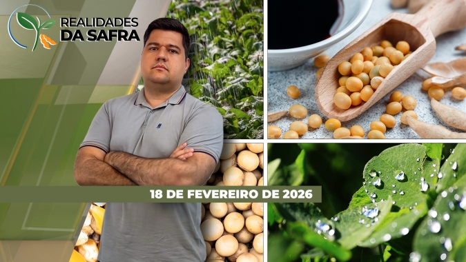 Corte das chuvas vai resultar em perdas para a soja de Caiçara/RS e Pérola D´Oeste/PR