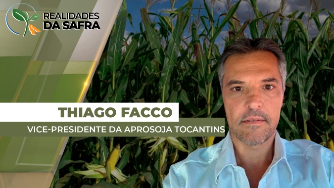 Tocantins perto de fechar safra de milho com área e produção recorde