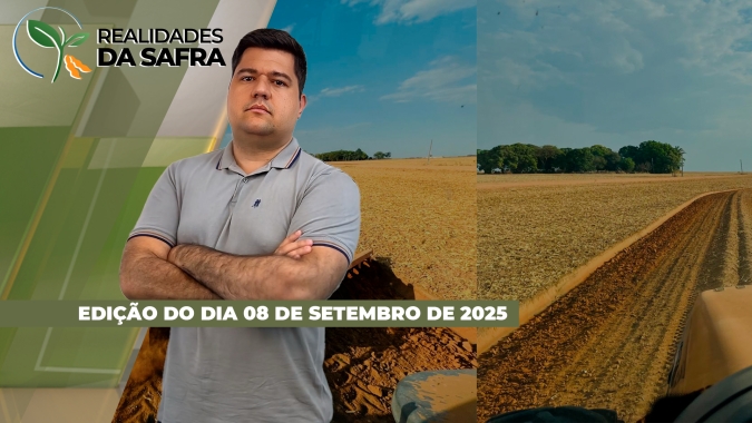Safra de soja começa com desafios climáticos e plantio pode ser empurrado para outubro