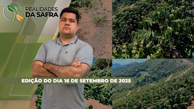 Plantio da soja já começou pontualmente em Tapurah/MT e chega na metade em Palotina/PR