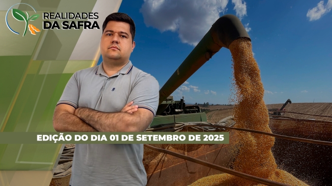 Com colheitas de segunda safra sendo finalizada, atenções se voltam para soja 25/26