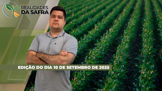 Produtores em Goiás e Mato Grosso esperam chuvas para iniciar o plantio da safra de soja