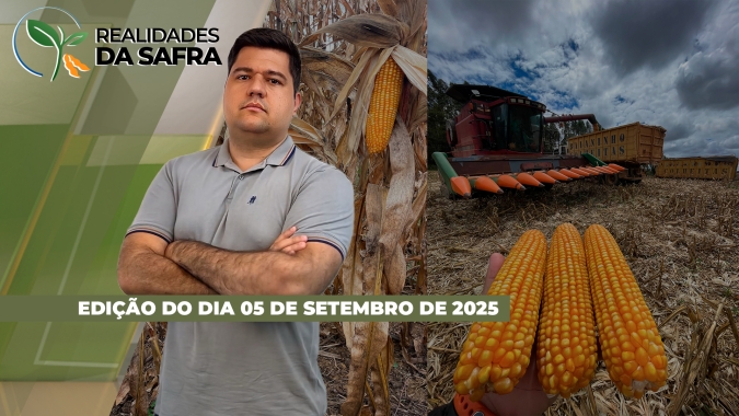 Plantio do milho verão avança para 12% no Brasil e produtores se preparam para iniciar safra de soja