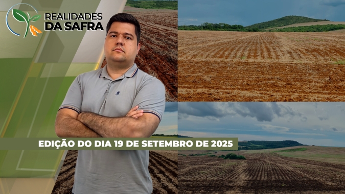 Enquanto Minas Gerais e Santa Catarina aguardam para iniciar plantio da soja, semeadura já chega em 50% no Paraguai