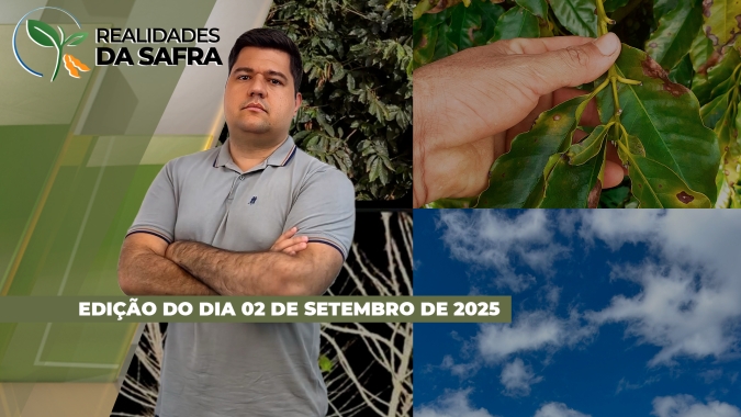 Produtores aceleram atividades de preparação para a safra de soja 2025/26