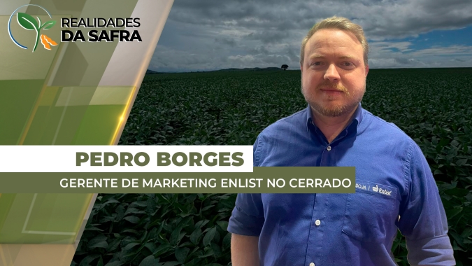 Presente em cerca de 70% das regiões produtoras, pé-de-galinha é uma das daninhas que mais acomete a soja