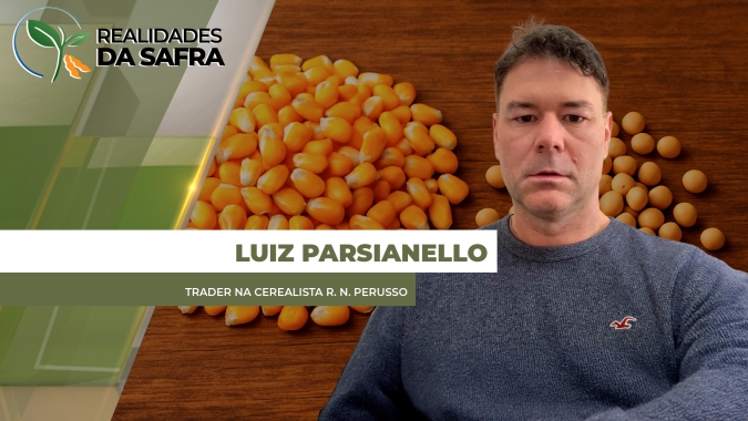 Pato Branco/PR tem boas condições para o início do desenvolvimento da soja e do milho