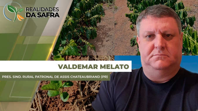 Com clima favorável, região do Oeste paranaense já semeou 5% da área e deve concluir o plantio até 20 de outubro