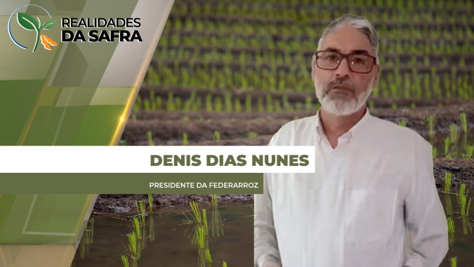 Chuvas mais consistentes atrasam o plantio do arroz no Rio Grande do Sul
