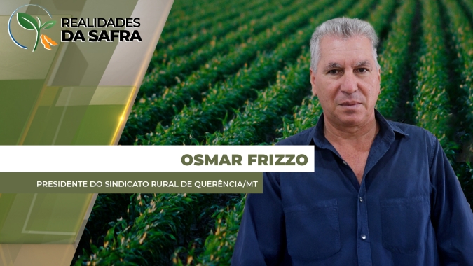 Vazio sanitário já acabou, mas ainda falta chuva para plantio da soja em Querência/MT