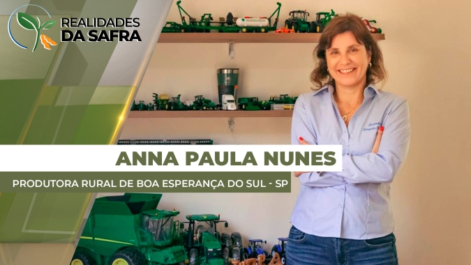 Boa Esperança do Sul/SP fecha segunda safra com alta produtividade de sorgo e girassol