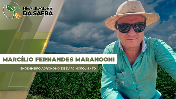 Produtores de Darcinópolis/TO aceleram preparativos para safra de soja 25/26