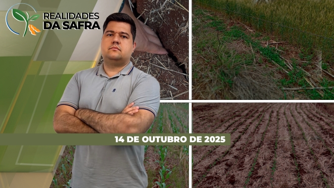 Chuvas ainda em baixo volume impedem avanço do plantio da soja em Goiás e em Querência/MT