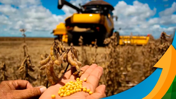 Colheita da soja começa muito atrasada em Rondonópolis/MT com produtividades entre 4 e 40 sc/ha