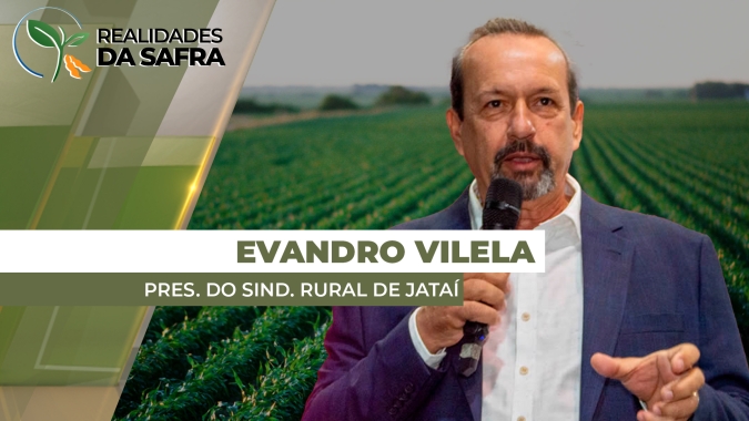 Em Jataí (GO) clima colabora com o desenvolvimento da soja, mas margens para o produtor ainda devem ser apertadas