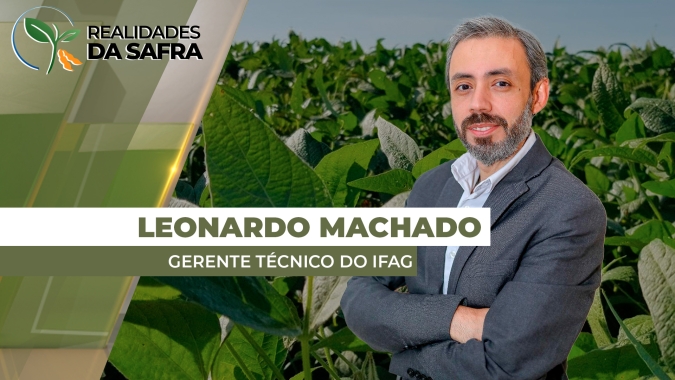 Safra de soja em Goiás deve ter aumento na produtividade, com as chuvas contribuindo para o desenvolvimento das plantas