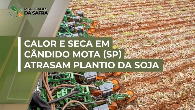 Mesmo com o fim do vazio sanitário em Cândido Mota (SP), calor e falta de chuvas fazem com que os produtores segurem o plantio da soja